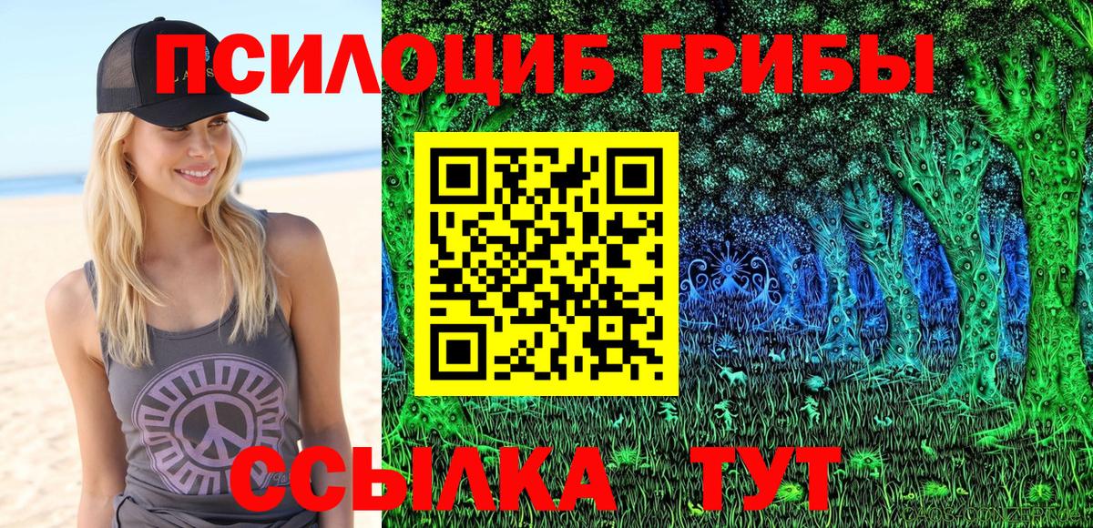 Псилоцибиновые грибы Psilocybe  Вход с VPN  Норильск 